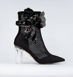 Cecelia New York Bloom Best