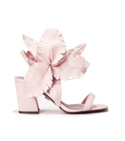 Cecelia New York Hibicsus New