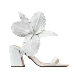 Cecelia New York Hibiscus Outlet