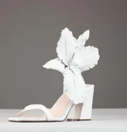 Cecelia New York Hibiscus Outlet