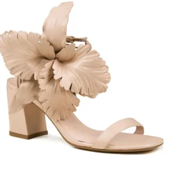 Cecelia New York Hibiscus