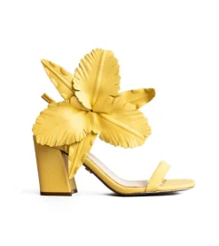 Cecelia New York Hibiscus Best