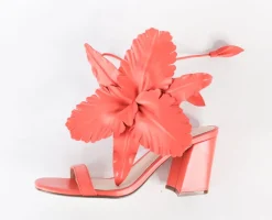 Cecelia New York Hibiscus New