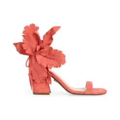 Cecelia New York Hibiscus Clearance