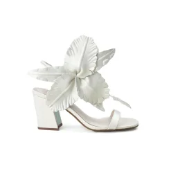 Cecelia New York Hibiscus Outlet