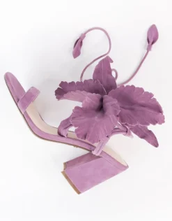 Cecelia New York Hibiscus Online