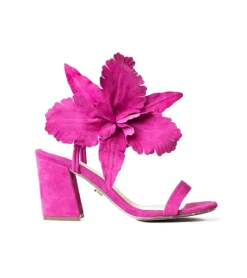 Cecelia New York Hibiscus Hot