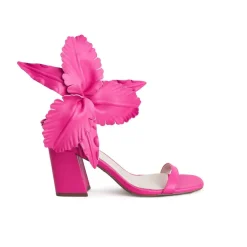 Cecelia New York Hibiscus Clearance