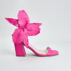 Cecelia New York Hibiscus Clearance