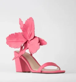 Cecelia New York Hibiscus Best
