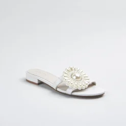 Cecelia New York Lidia Online
