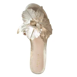 Cecelia New York Lila Hot