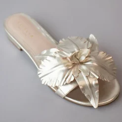 Cecelia New York Lila Hot