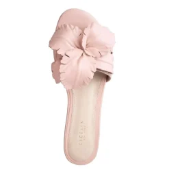 Cecelia New York Lila Hot