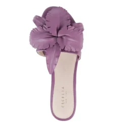 Cecelia New York Lila Hot