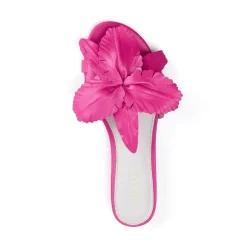 Cecelia New York Lila Clearance