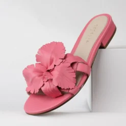 Cecelia New York Lila New
