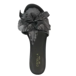Cecelia New York Lila Discount