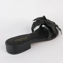Cecelia New York Lila Discount