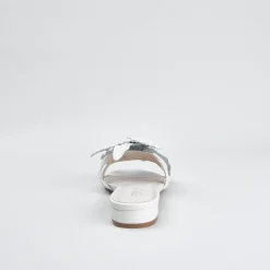Cecelia New York Lila Outlet