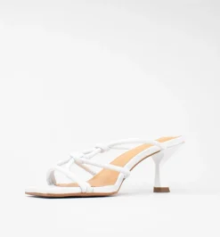 Cecelia New York Terrance Online