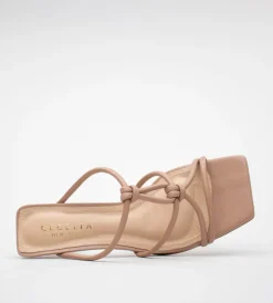Cecelia New York Terrance